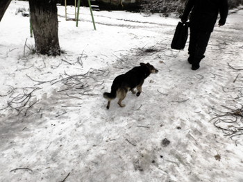 Старость / 2015-11-06-159-C0-036(80)


[img]https://i.imgur.com/OAyYd8G.jpg[/img]


[img]https://i.imgur.com/01UdYtM.jpg[/img]