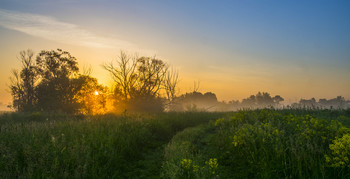 Солнце всходит. / Летнее утро в поле.Мещера. Юго-восток Московской области.