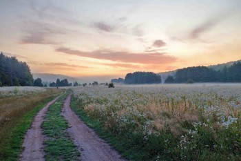 июньское утро / Июнь.Утро.Скоро встанет солнце.