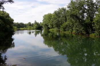 Дрена в Абакане / Искусственный канал вокруг города, для осушения территории городской земли.