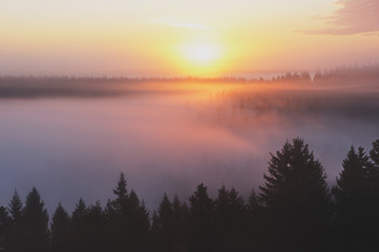 полёт над туманом / Утро 5 мая восход солнца Карелия сортавальский район гора Паасо