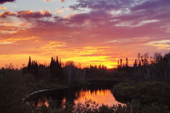 На закате. / Томская область.