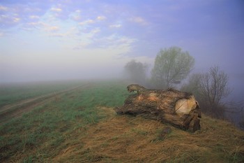 Утренняя прогулка / "Расчлененка"