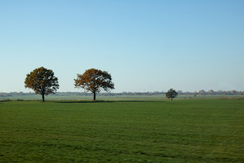 Равнинная местность / Три дерева в поле