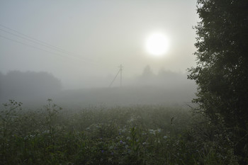 тишина / лето, утро, туман, Подмосковье