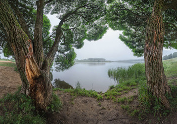 &nbsp; / Панорама.