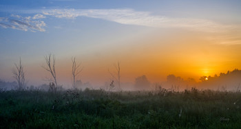 На восходе. / Летний рассвет в поле. Юго-восток Московской области. Мещера.