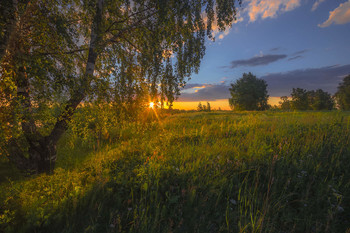 Вечерних трав хмельной покой / Костромская область