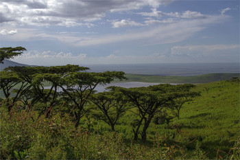 Нгоронгоро...) / В кратере Нгоронгоро,Танзания