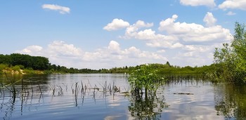 В знойный день. ... / Лето. Это в небе облака, Это чистая река...