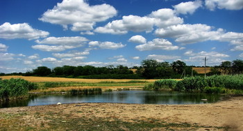 Речушка,,, / Пейзаж