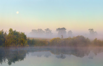 Тихое утро / Утренние прогулки