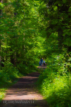 Летняя прогулка / Прогулка летом в лесу, что может быть лучше
