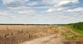 после жатвы / поле после уборки хлеба