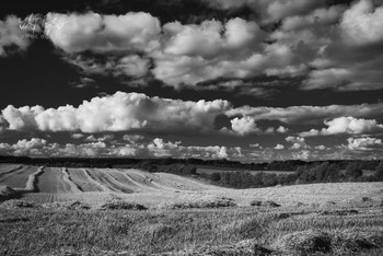 &nbsp; / Erntezeit in der Landschaft Angeln