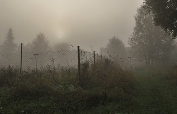 Утренний туман ... / &quot;Утренний туман
 уходит тихонько туда,
 куда ему надо ...&quot;
 Танэда Сантока