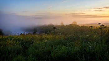 утро нового дня / 26 июля, 5 утра, Тульская область
Туман на реке Красивая Меча