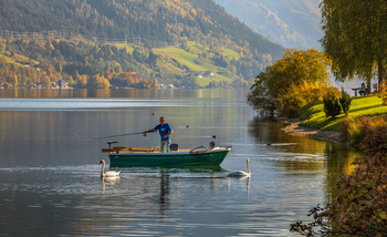 Рыбак и лебеди - совместная рыбалка. / Рыбалка на Целлерском озере в Австрии.