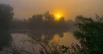 Утренний туман. / Летний туман на озере Студёное. Юго-восток Московской области. Мещера.