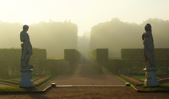 Туманное утро / Екатерининский парк