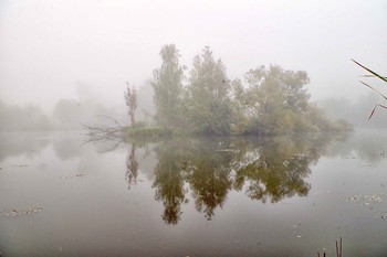 туман / Осень.Утро.Туман.