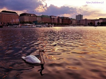 Alster Hamburg / St.Georg: https://www.youtube.com/watch?v=rfwK750jMcs Видео "Прогулка по Эльбе": https://www.youtube.com/watch?v=qL1e1j9B8Vk Лайнеры в Гамбурге: https://www.youtube.com/watch?v=VU8V0Jvqpy0 https://www.youtube.com/watch?v=_8iY4QcGL-A&t=8s https://www.youtube.com/watch?v=EVMHpH6SJxA Корабли на Эльбе: https://www.youtube.com/watch?v=DA7DProSV6o&list=UUEOp3amNaNT0205lPmdFi8w&index=19 Портовый центр и складской район Гамбурга: https://www.youtube.com/watch?v=i0kxa-sex6o https://www.youtube.com/channel/UCEOp3amNaNT0205lPmdFi8w/videos? https://www.youtube.com/watch?v=IGn-NNqkBL0 https://www.youtube.com/watch?v=dZ1W9amrFdg Озеро Альстер (Alster Hamburg) - сердце Гамбурга, любимое место отдыха гамбуржан и гостей города. Видео: https://www.youtube.com/watch?v=FUnJ6Mt1G68 Alstervergnügen 2017. Hamburg https://www.youtube.com/watch?v=PZXeb1sykTk Alster am Abend https://www.youtube.com/watch?v=YdvFUdm0nQ0 Alster Hamburg https://www.youtube.com/watch?v=shvDCXIyNb0&pbjreload=10