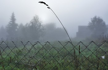 &quot;Тишина вокруг шуршит минутами ...&quot; / &quot;Когда сквозная паутина
 Разносит нити ясных дней
 И под окном у селянина
 Далекий благовест слышней.
 Мы не грустим, пугаясь снова
 Дыханья близкого зимы,
 А голос лета прожитого
 Яснее понимаем мы.&quot;
 А. Фет