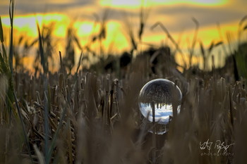  / Sonnenuntergang durch die Glaskugel