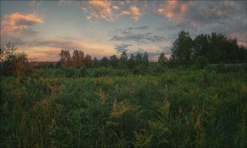 Вечерело / Кемерово, Западная Сибирь