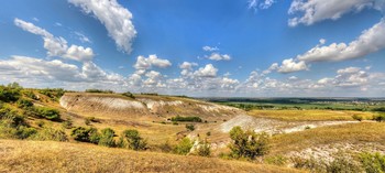 Красота летнего дня / Воронежская обл.