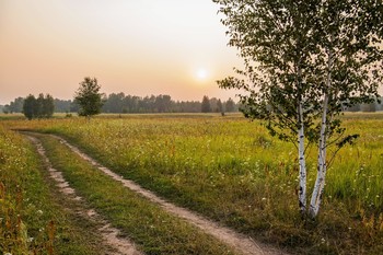 &nbsp; / окрестности п .Красницкий,Татарстан