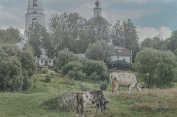 пастораль / деревенская жизнь