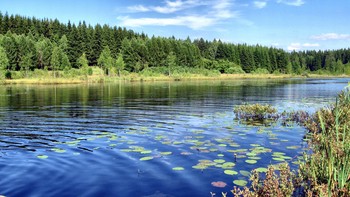 &nbsp; / Лето на озере