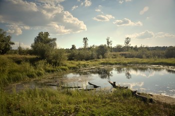 &nbsp; / в пойме Приипяти