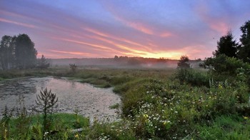 Вечерний лёг туман на луг / Вечерний лёг туман на луг,
И полыхнуло зарево вокруг,
Замолкли птицы до рассвета,
Лишь аромат повеял разноцвета.