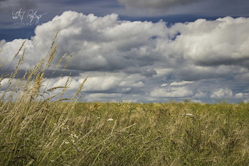  / Wolkenhimmel und eine Sommerwiese