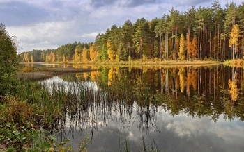 Ох, как прелестна эта гладь / Ох, как прелестна эта гладь, 
И в зеркале осенье отраженье,
Как ласкова природы благодать,
Чудесный вид приподнимает настроенье.
Плывущие по небу облака,
Не налюбуются осенним лесом,
Окинув взором все издалека,
Глядя на отраженья сверху, с интересом.
04.09.2020