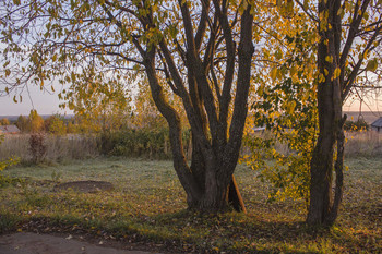 Осенняя зарисовка / Ранее утро, иней посеребрил траву и все вокруг