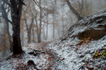 Метель в горах..... / Железноводск. Октябрь