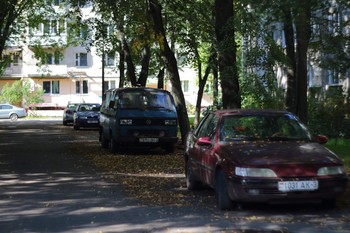 утро / осень