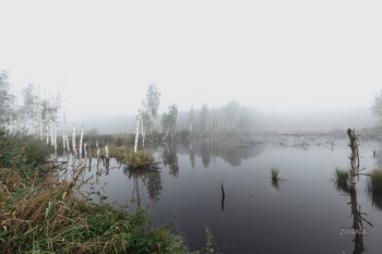 лесное озеро / туман в Подмосковье