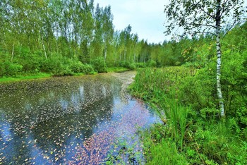 &quot;Во вторник начался сентябрь ...&quot; / &quot;Во вторник начался сентябрь.
 Дождь лил всю ночь.
 Все птицы улетели прочь.
 Лишь я так одинок и храбр,
 что даже не смотрел им вслед ...&quot;
 И.Бродский