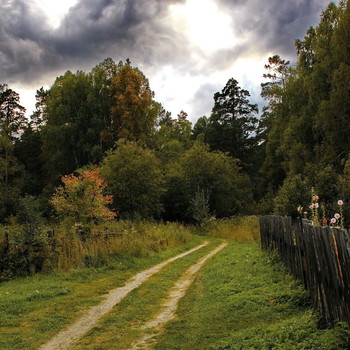 Пасмурно. / Томская область.