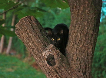 Ну, чего ты испугался? / ***