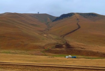 &quot; Особый фольклор&quot;.... / Я тоскую везде с незапамятных пор
По тропинкам, что круто взбираются в гору,
По студеным потокам, что катятся с гор.
По далеким аулам тоскую. Как чудо,
В каждом издавна создан особый фольклор.
/Расул Гамзатов/