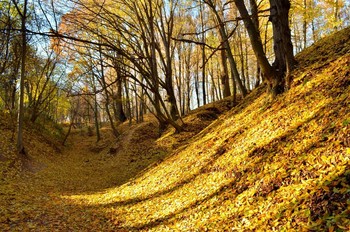 Запахло осенью слегка / осенний день