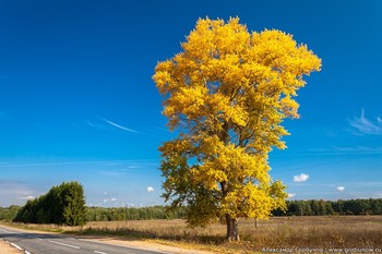 Придорожный пейзаж / Осень. Начало...