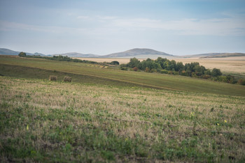 Запахло осенью слегка / Поля уже скошены, на деревьях и кустах появились осенние краски