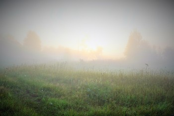 "Мне нравится, что утро не спешит менять картины..." / "Мне нравится, что утро не спешит,
Что утро не спешит менять картины,
Что не уходит быстро - дорожит
Ночными паучками в паутинках ..."
Т.Травник