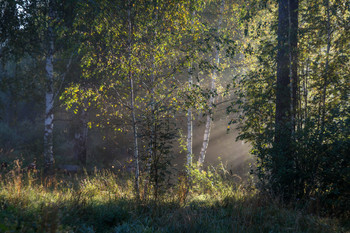 &nbsp; / гелиос 40-2С 85mm f/1.5